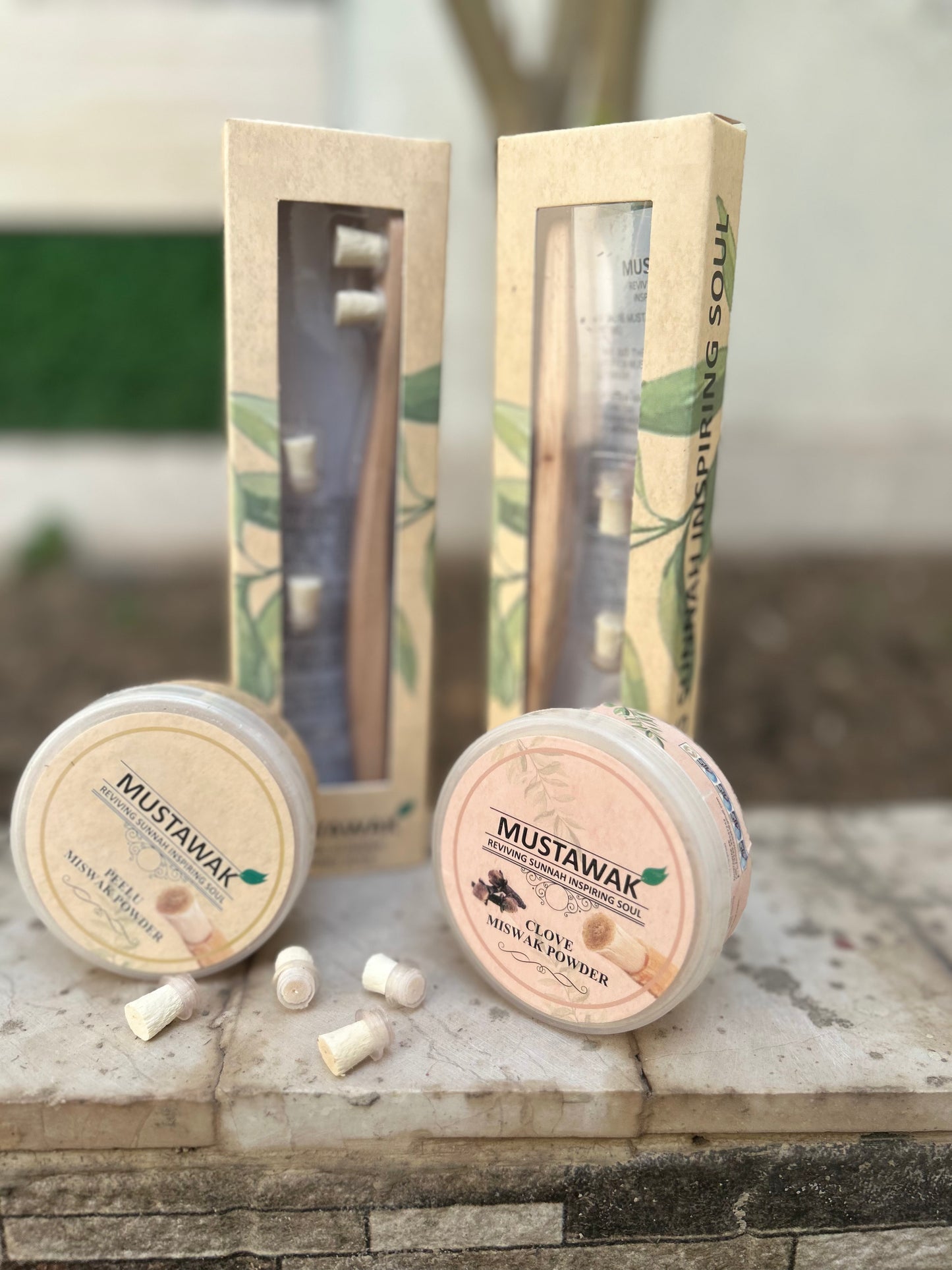 Organic Magical Teeth Whitening Kit | Miswak Toothbrush and Teeth Whitening Powder