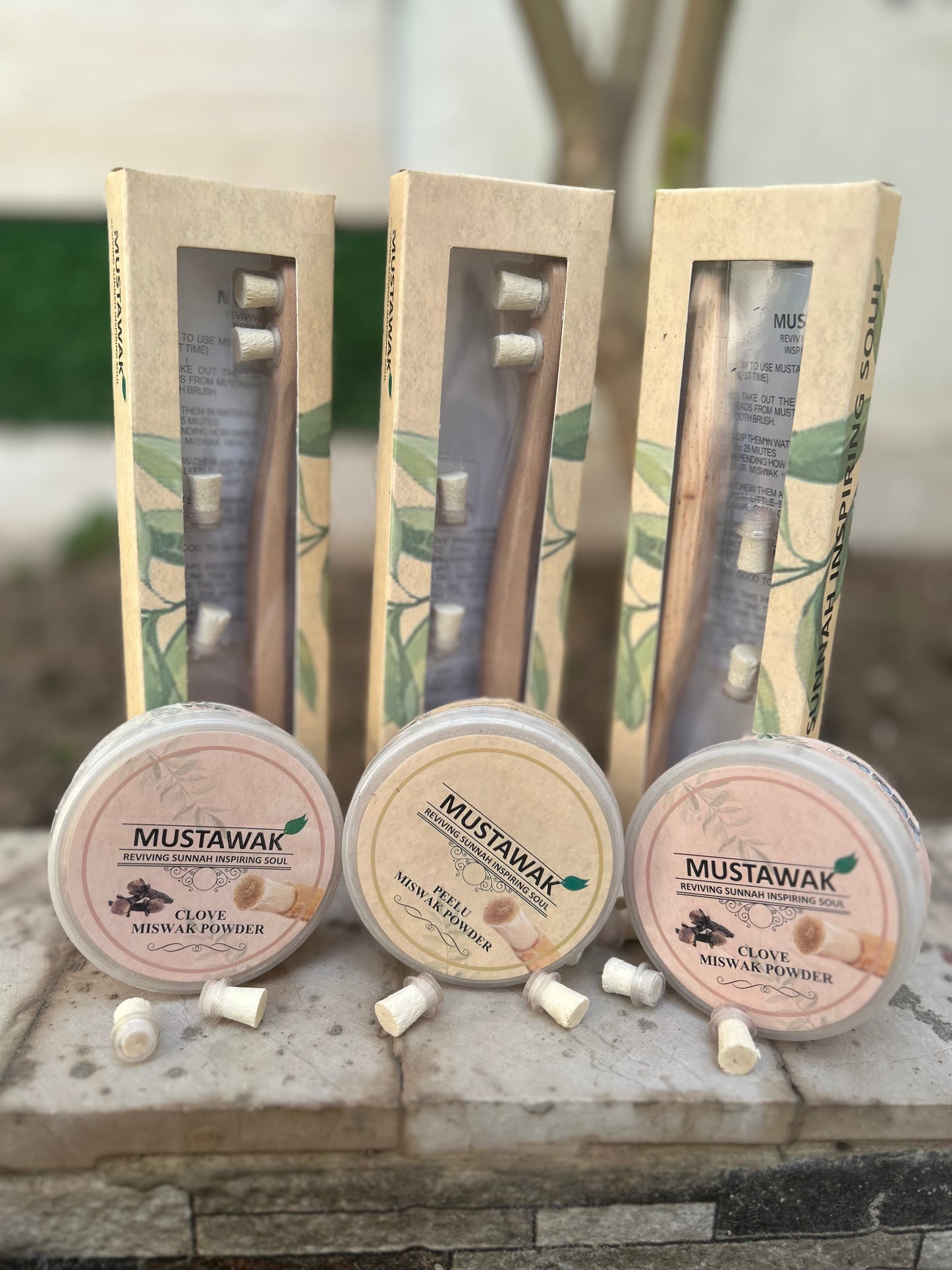Organic Magical Teeth Whitening Kit | Miswak Toothbrush and Teeth Whitening Powder